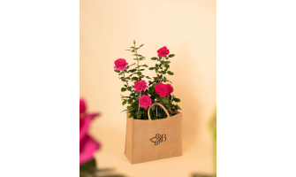 Kas notiek, kad esam saņēmuši pasūtījumu internetveikalā?